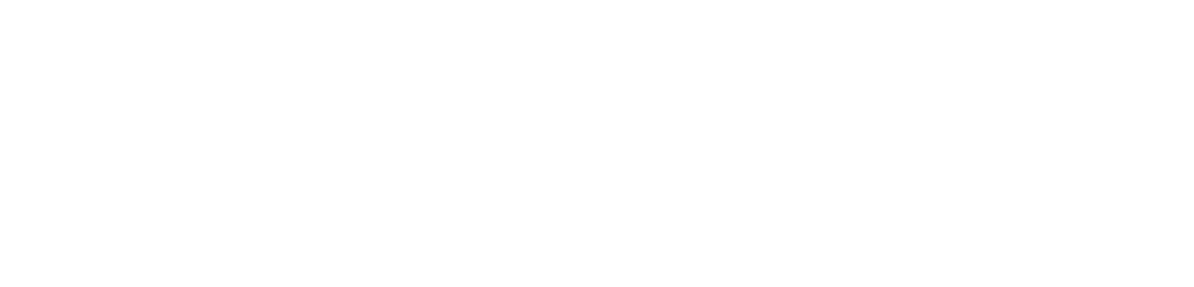 SFE-3020-FullSFE-Bold