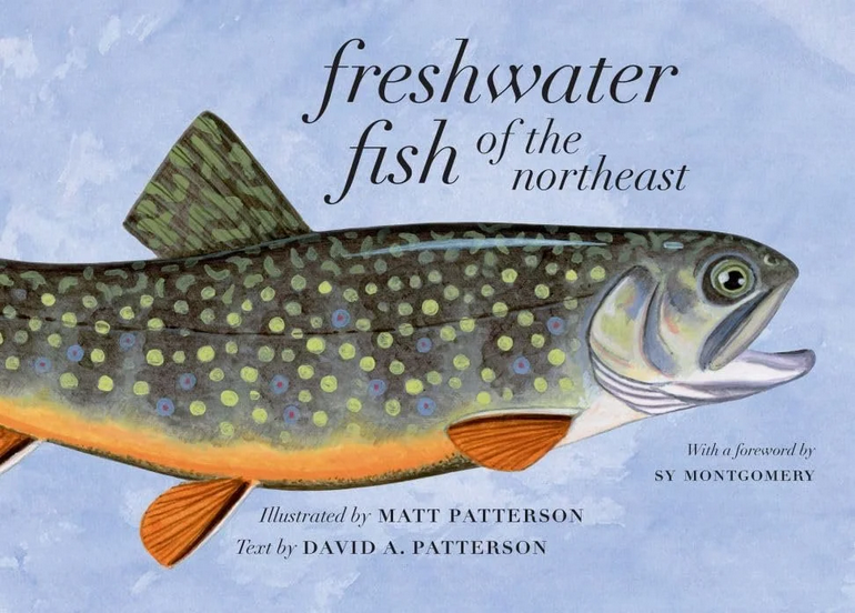 FRESHWATER — Matt Patterson