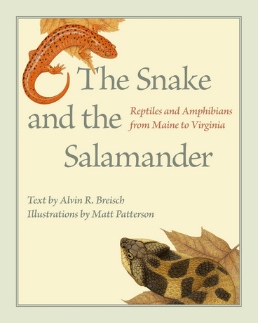 SNAKE-SALAMANDER- Matt Patterson