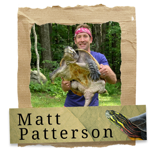 MATT 2026