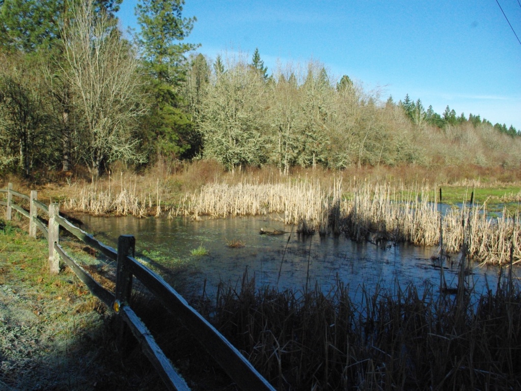 Tualatin Hills Nature Park in Beaverton, Oregon, USA, operated by the w:Tualatin Hills Park & Recreation District.
M.O. Stevens