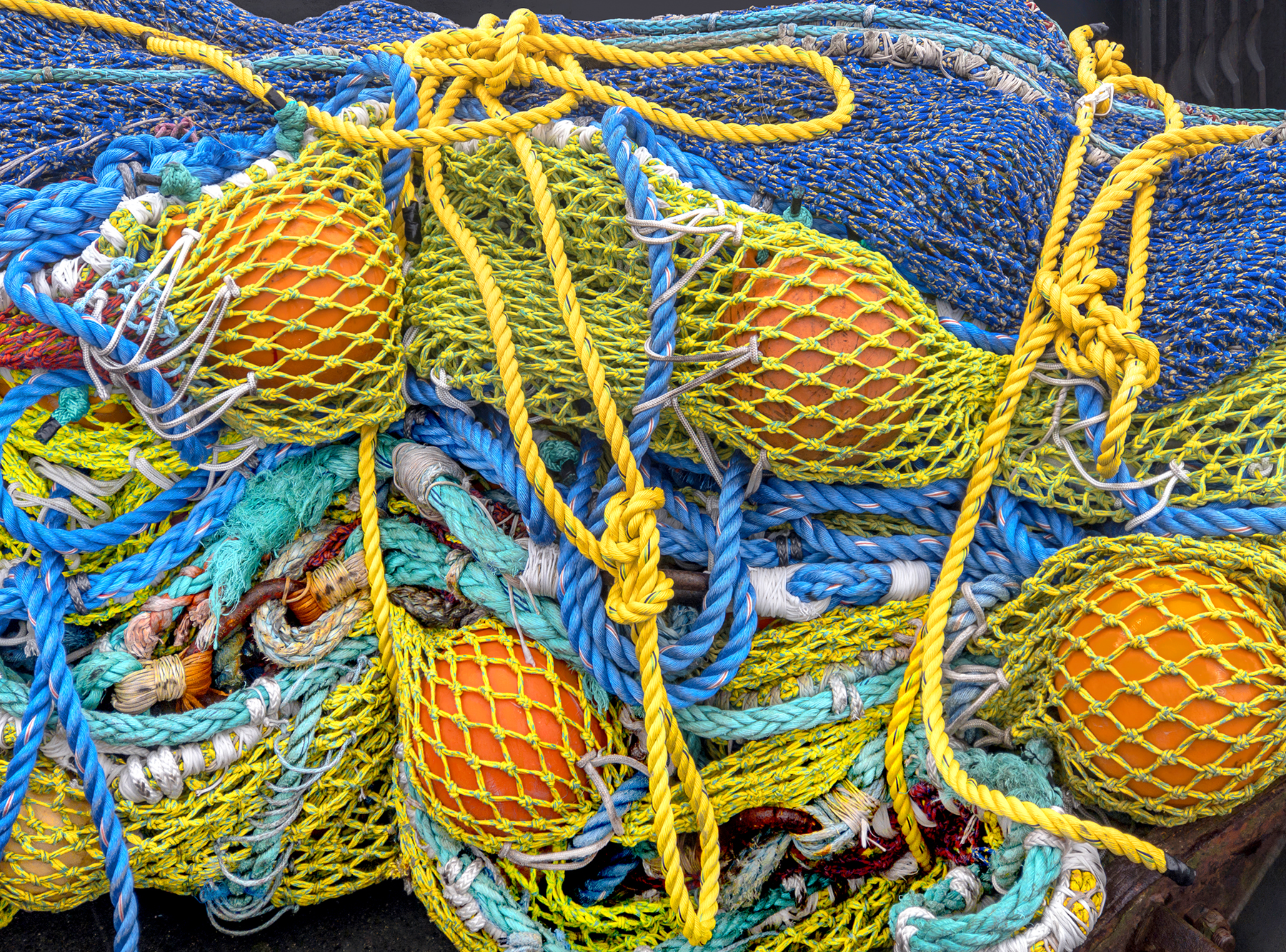 Nelson-Ropes and Nets XXIV_300ppi.jpg